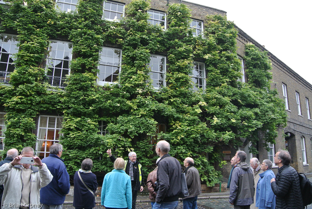 Dave recounts the history of the wisteria