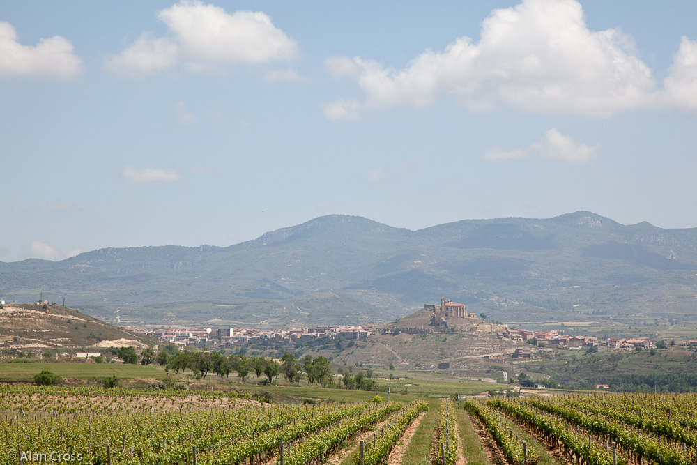 View from Dinastia Vivanco Wine Museum, Briones