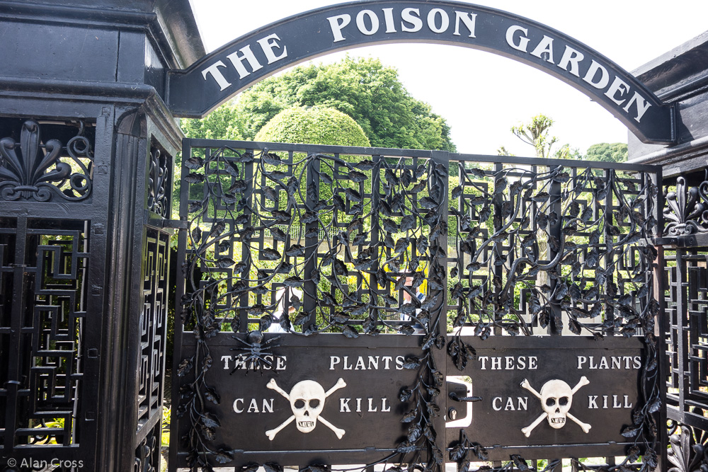 The Poison Garden - under lock and key, guided tours only