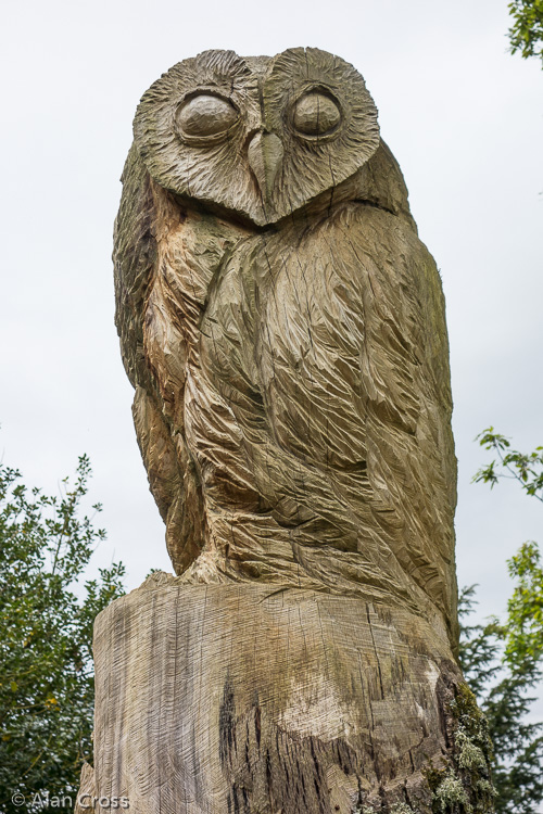 In the Formal Garden: the carved owl