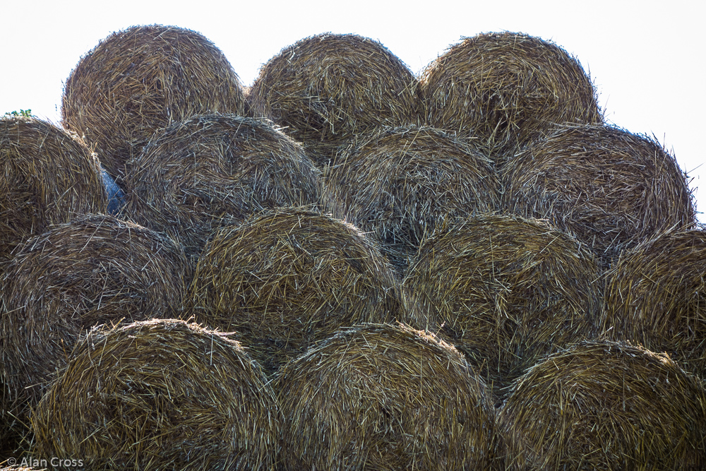 Straw bales seen on the way