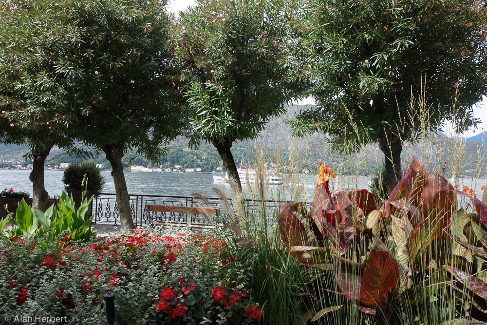 Lakeside walk, Bellagio