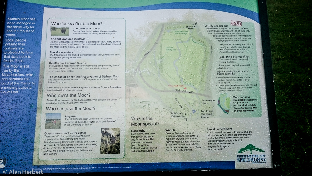 Staines Moor Map