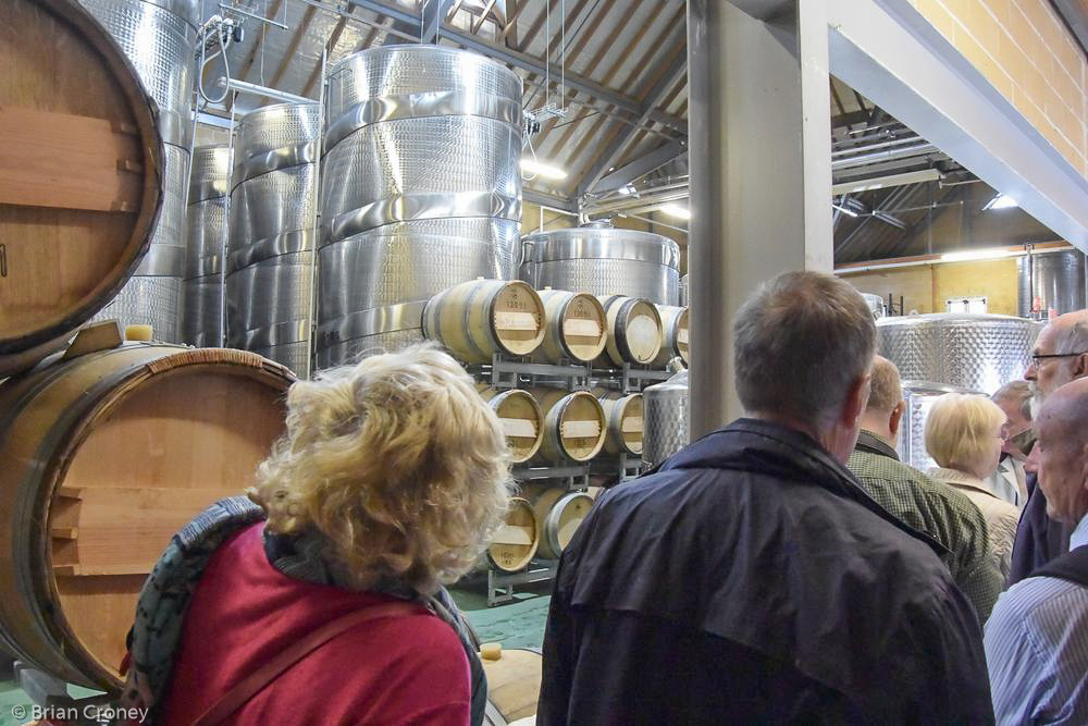 Steel fermentation vessels and french oak barrels