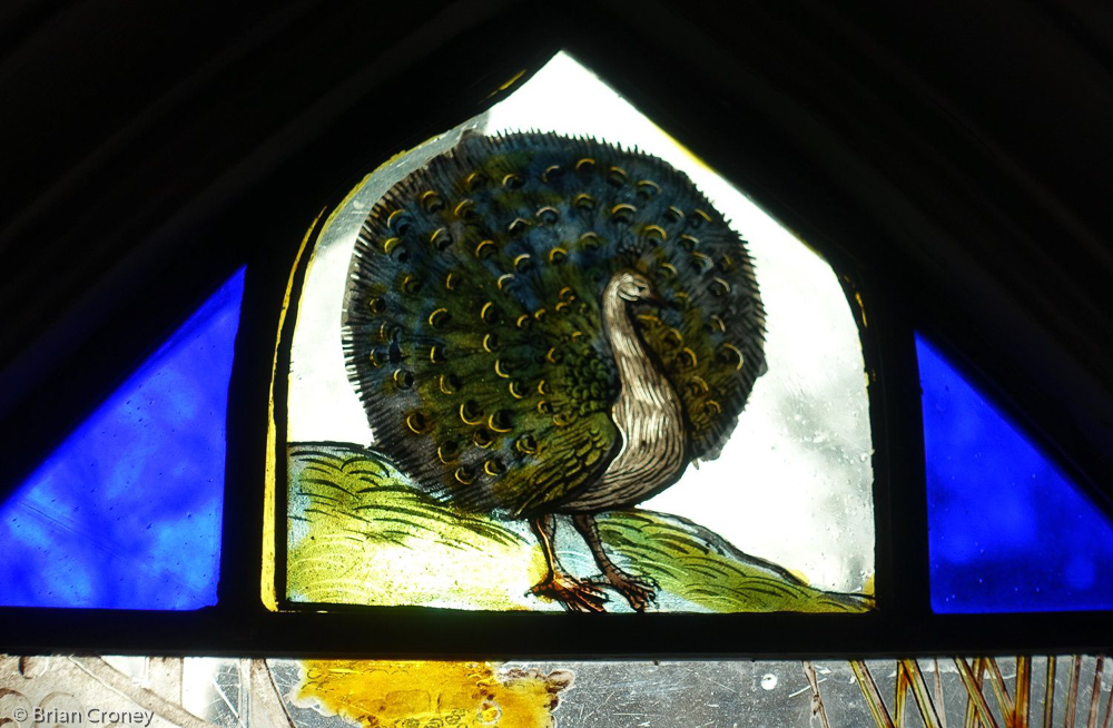 Stained glass image of a peacock - often used in SSH promos