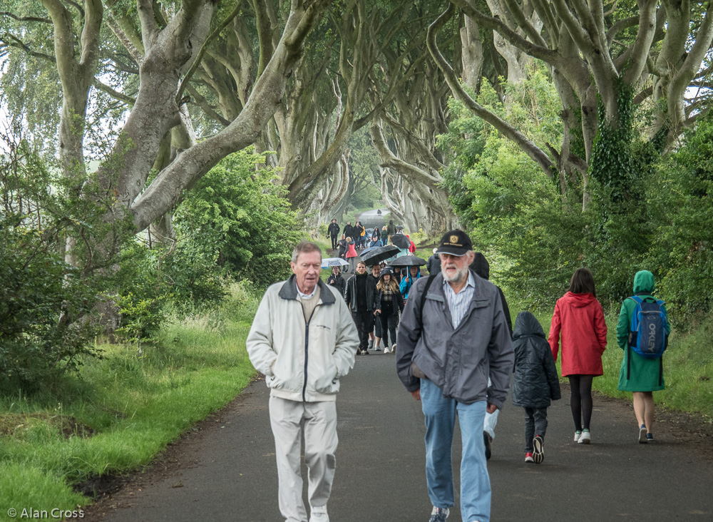 'The Dark Hedges' (Game of Thrones)
