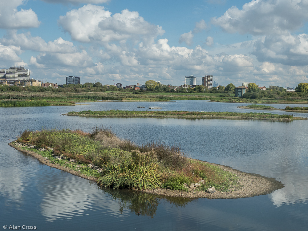 Part of the Wetland with London skyline beyond