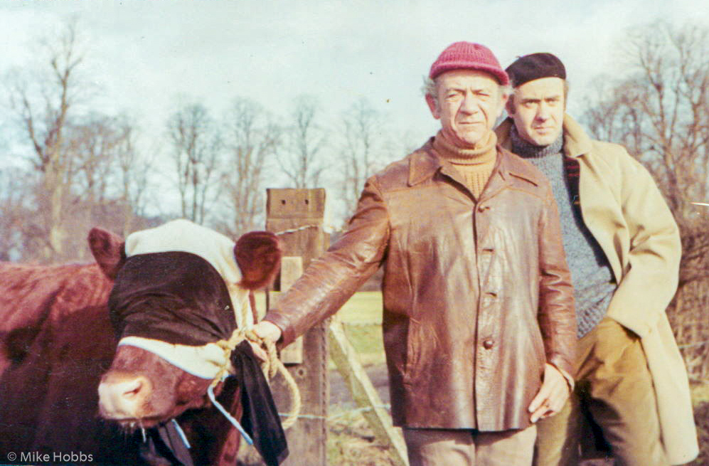 Sid James + actor? + cow