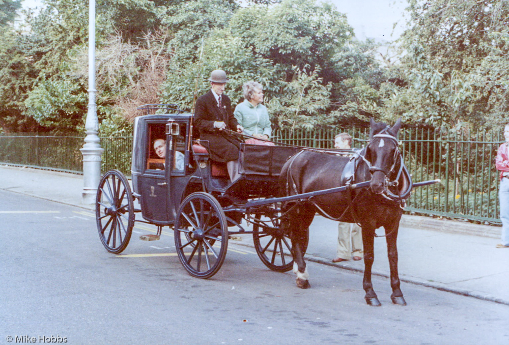 Judith in horse and carriage, Maurice Langston in carriage